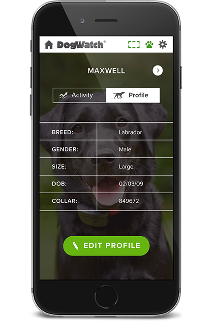 DogWatch of Upstate NY, Otego, New York | SmartFence WebApp Image